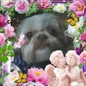 Meet your Posher, Virginia